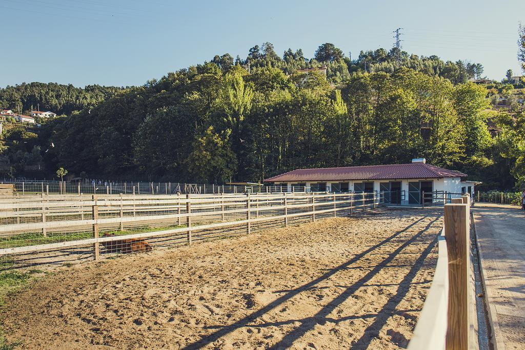Quintas Farm Houses Arouca Exterior photo